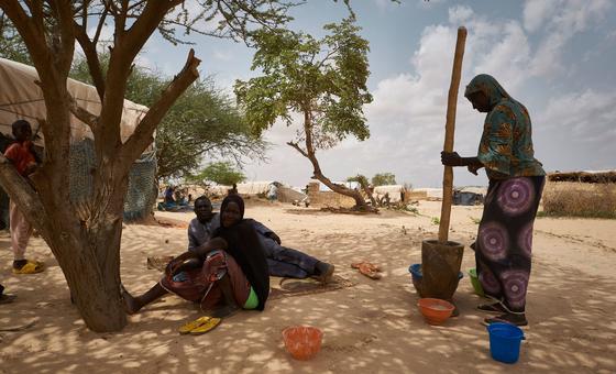 La hausse des prix aura des conséquences dévastatrices sur la sécurité alimentaire, prévient la FAO